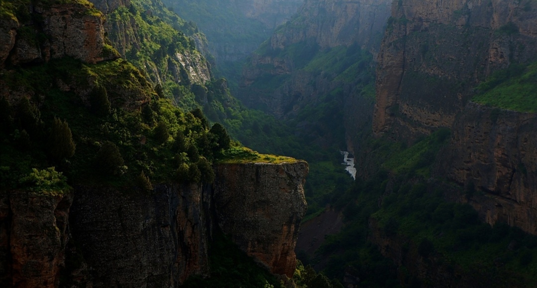 Screenshot_20200517_142420